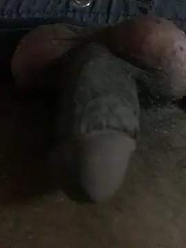 عرض كام seragzeka