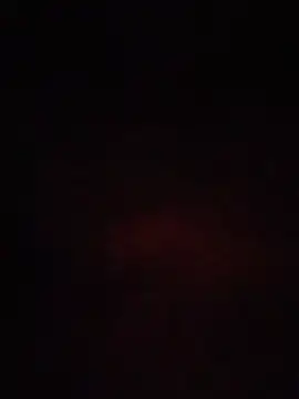 S7LEALTADPERVLIMA7 Pertunjukan Webcam