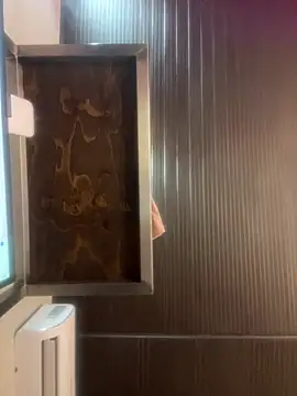 Chatroom XXX en direct de maaluh