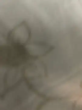 عرض كام Erenn34