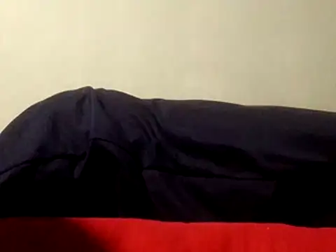 Show Webcam de simthandileee