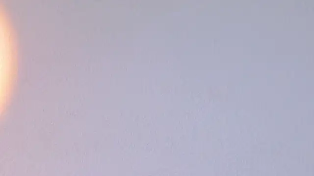thalya_w's Live XXX Chat