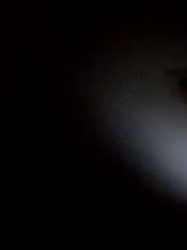 Bootyboyx Webcam-Show