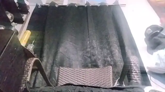 Show Webcam de tokeNcum2pnp2
