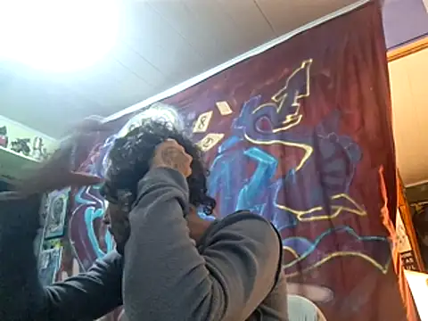 Toycockhotn Webbikameraesitys