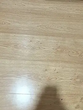 MolossoHot 웹캠 쇼