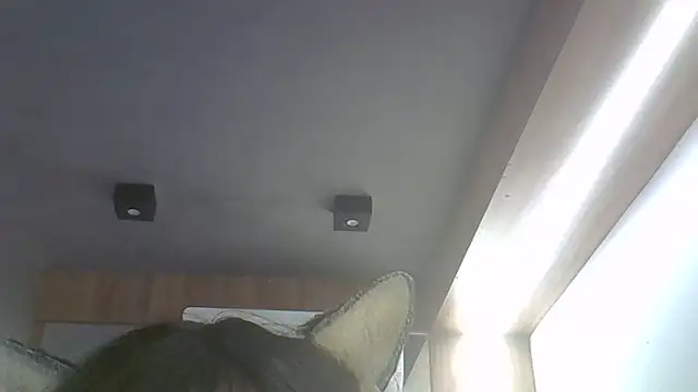 Chat +18 de SkinnyKitten ao vivo