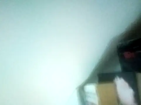 Lovefast69n Webbikameraesitys