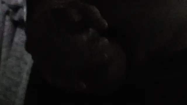 NylonHype Chat XXX live