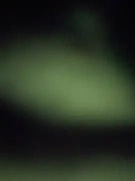הופעת וובקאם של ySqmbVanbe