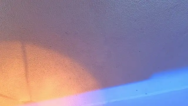 Viioletcollins' Live XXX Chat