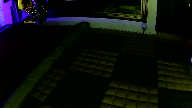 thingsbums Webcam-Show