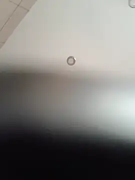 Wilsonn86 Chat XXX live