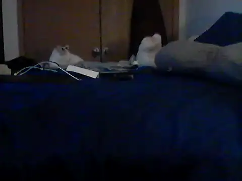 Chatroom XXX en direct de Silencio26