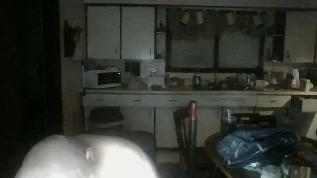Show Webcam de mapsterdaman
