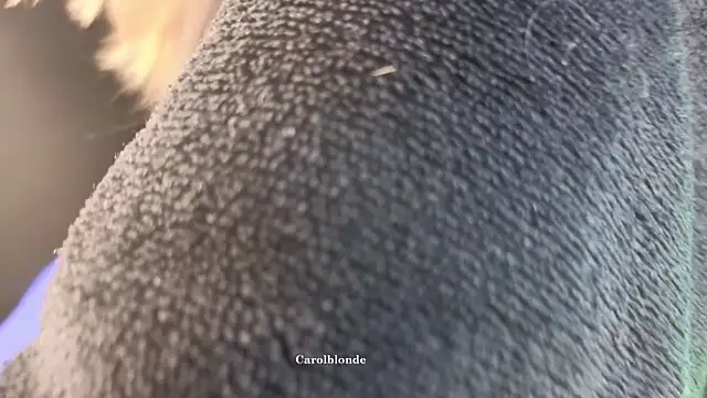 Carolblonde 现场XXX聊天