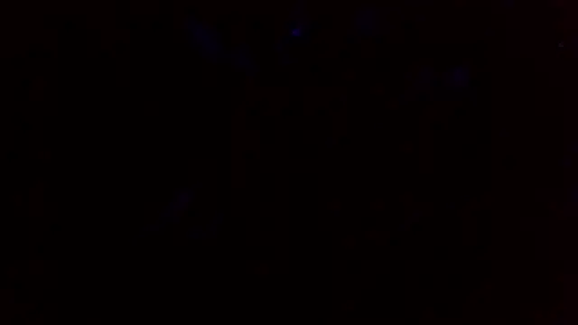 lollylux: онлайн-секс-чат