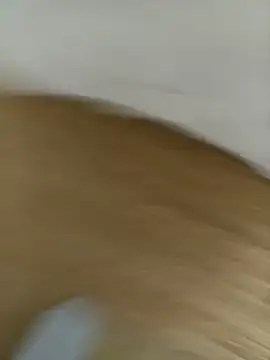 Show de hamstercom3333 na webcam