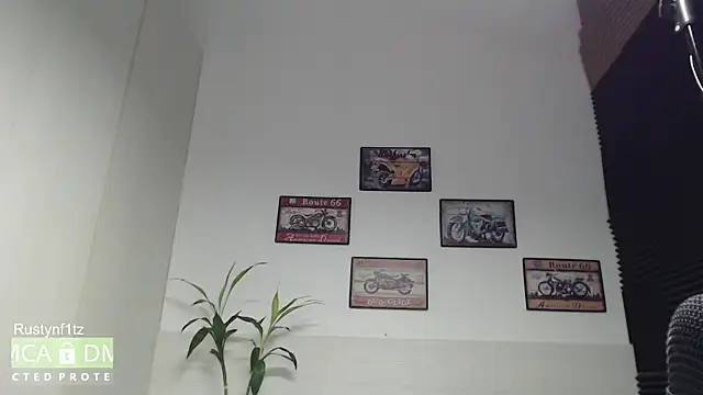 Rustynf1tz_ élő XXX-chatje