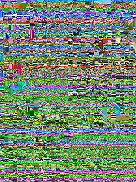 Sensational_ – Live XXX-chat