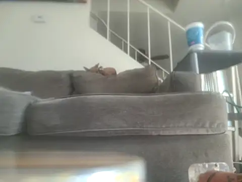 yourMasterisBored Live XXX-chat