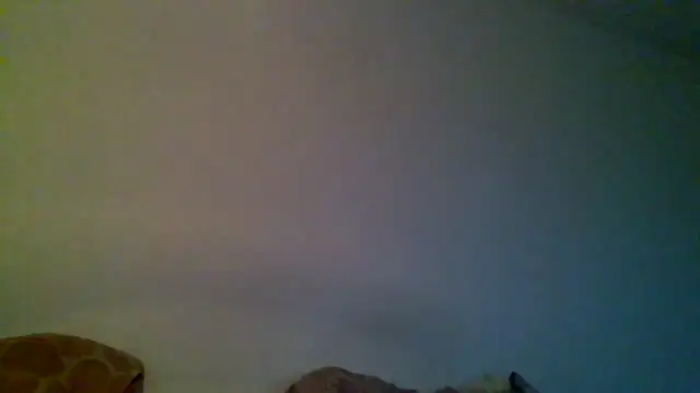 Chat XXX ao vivo de Kaappi1967