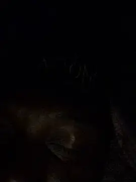 Show webcam de Big_B_Cock_1