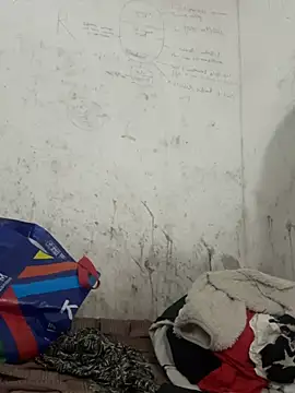 slop_edger Webcam Show