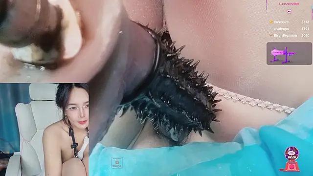 הופעת וובקאם של Youth3_