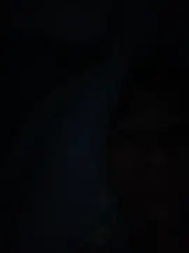 adamku403 Pertunjukan Webcam