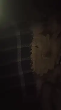 Živý XXX chat IMBADBOY4U