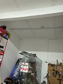 Chat +18 de Paul22cm- ao vivo