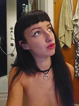 Show modela U_prolazu na web-kameri