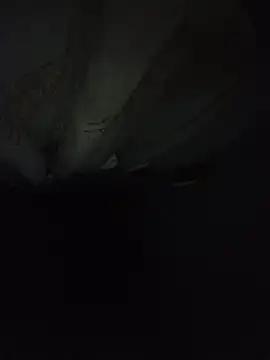 Sexxoophoneのウェブカメラショー