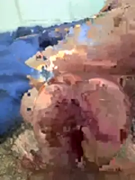 dameoi webcam show