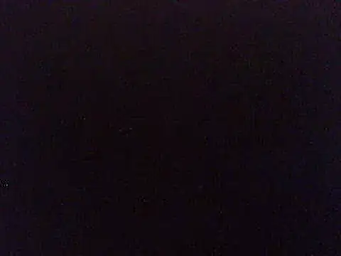 pietje1991 webcam show
