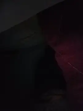Sexxoophone 网络视讯表演