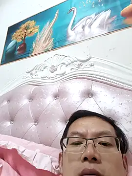 GG-0021 Show Webcam