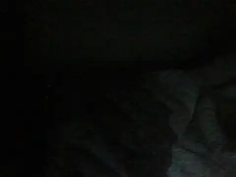 YORDICK4ROM_UcanTASTEit2 网络视讯表演