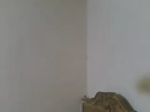 elpoop7305 – webcam-show