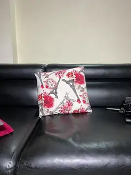 Aaronsexroom – Kamerová šou