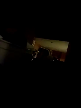 AceticPinscher Шоу с уебкамера