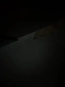 Webkamerová show MeladoDiMel