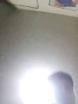 bxbicho20 webcam show
