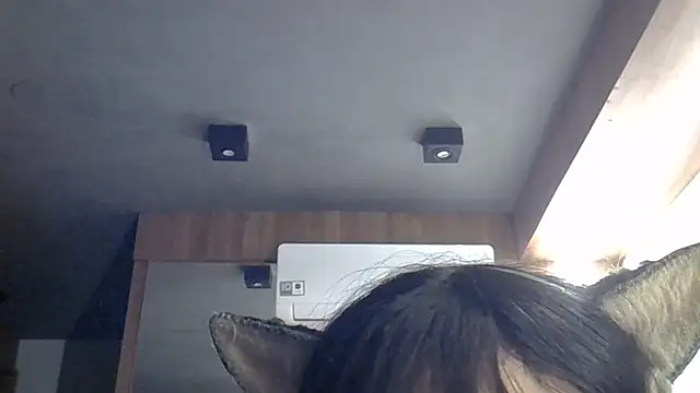 Show de webcam de SkinnyKitten