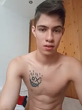 Show de webcam de StartedSizing