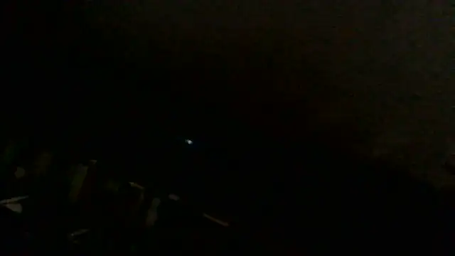 NuttyProfesir 网络视讯表演