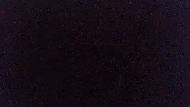 pietje1991 webcam show