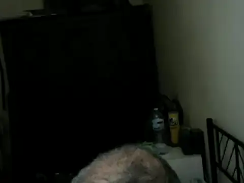 100Taurosn Webbikameraesitys