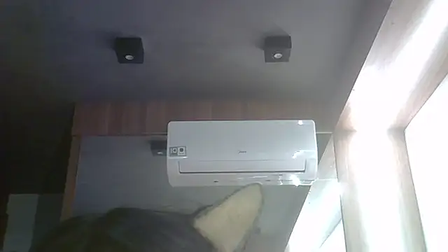 Show de SkinnyKitten na webcam